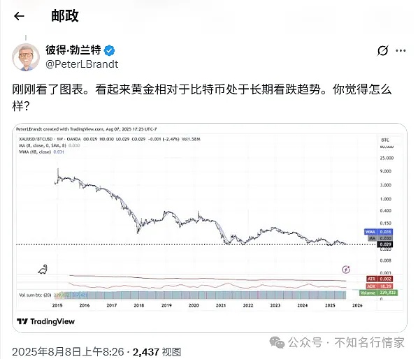 特所思(XTZ)今日狂飙：是抄底良机还是暴风雨前的宁静？
