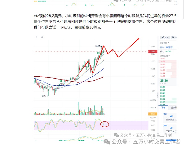 DLM：香港虚拟货币市场的破局者