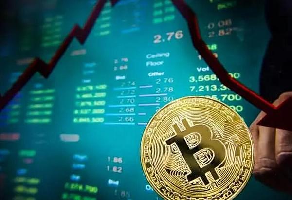 从默默无闻到行业标杆：Statter Network的传奇崛起之路
