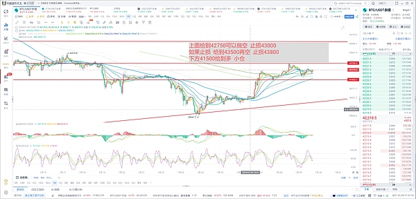 Solana逆势突围：这波暴涨行情能持续多久？